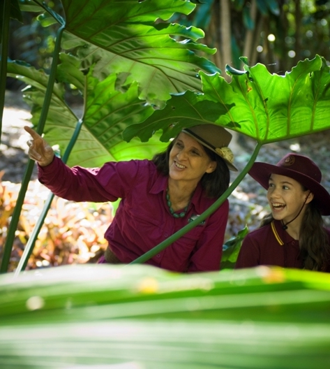 A woman and a child study the large leaves of a plant under which they are kneeling. They are smiling